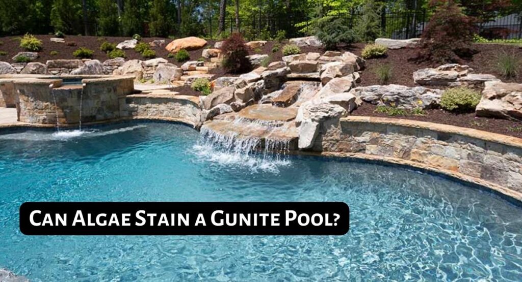 can-algae-stain-a-gunite-pool-causes-solutions