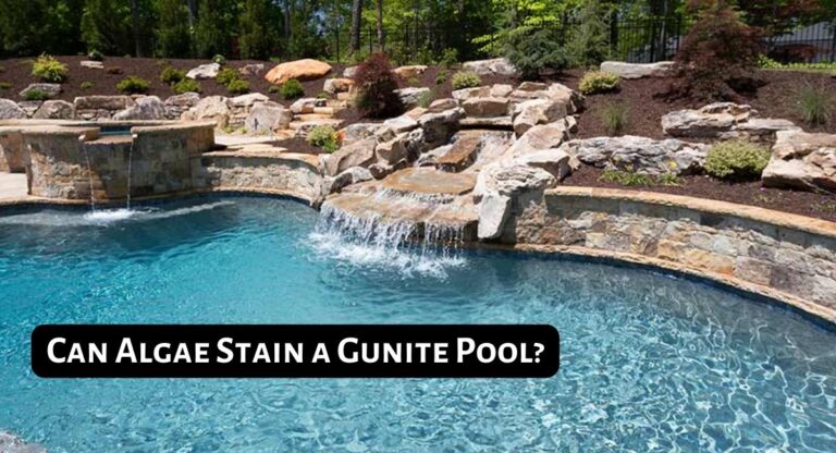 Can Algae Stain A Gunite Pool - Causes & Solutions