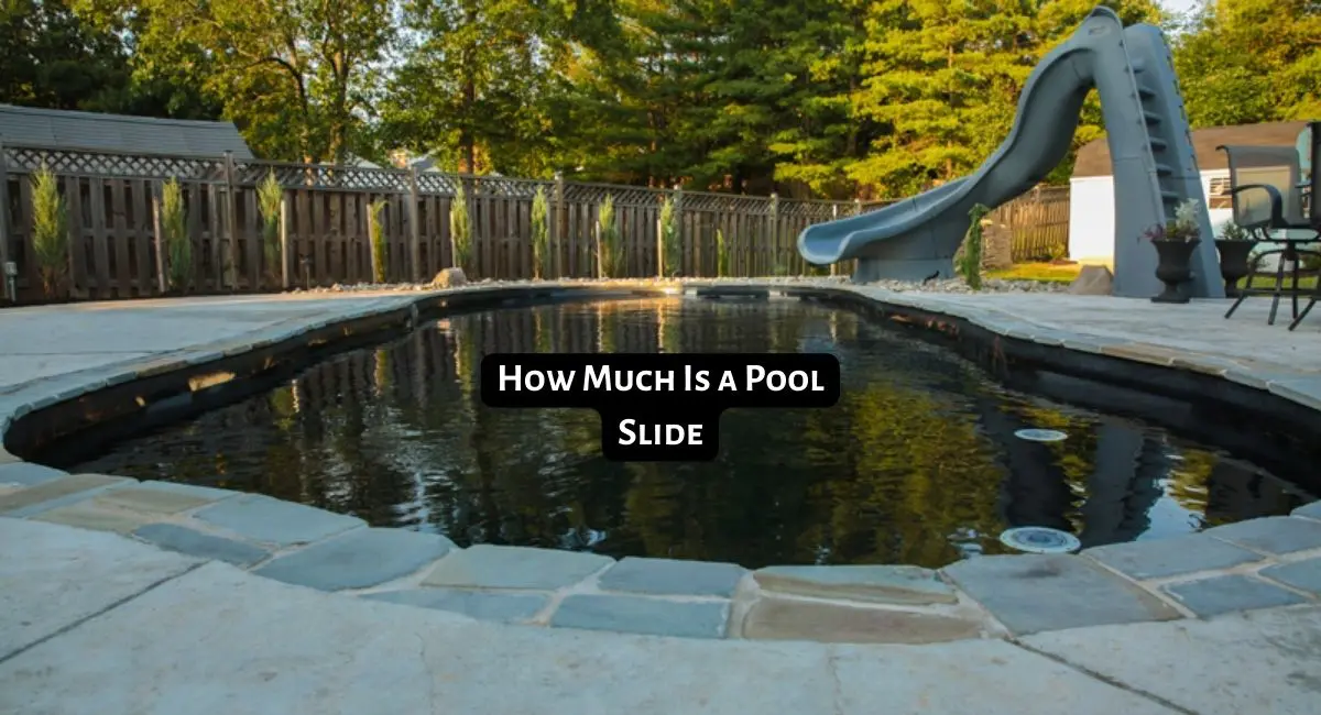 How Much Is a Pool Slide