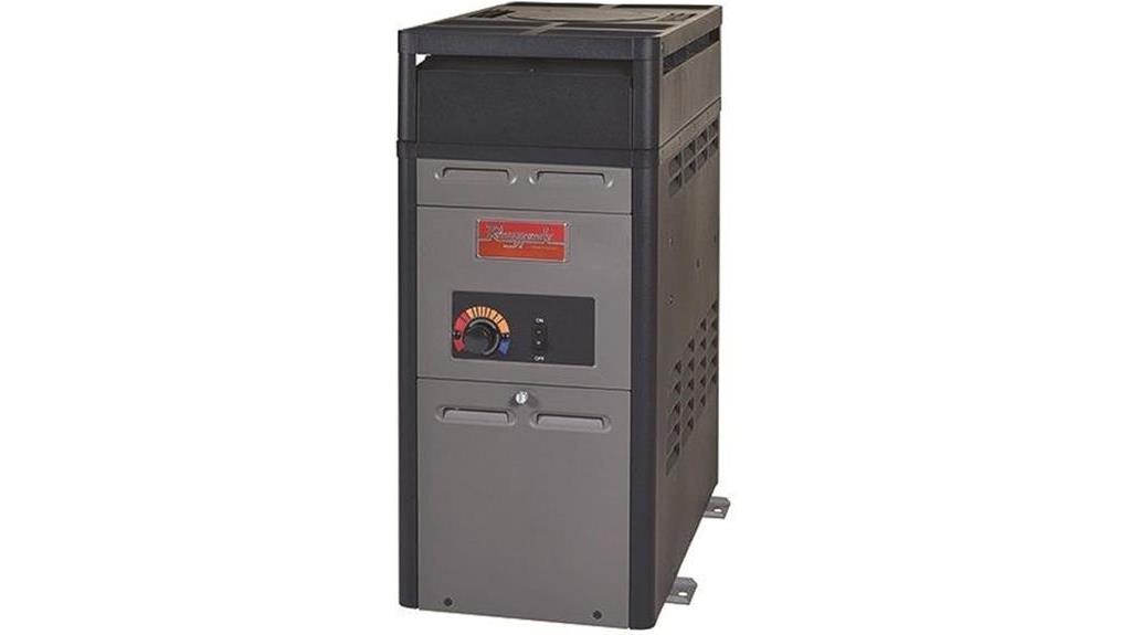 raypak natural gas pool heater