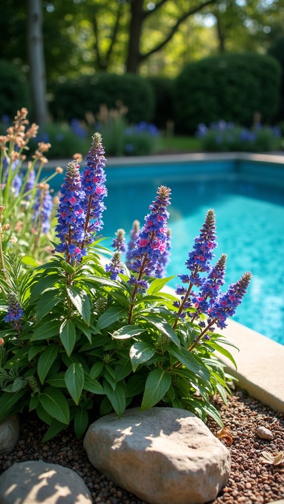 21 Pretty Shade Plants Around Pool Ideas That Add Color and Cover lungwort enhances shady beauty
