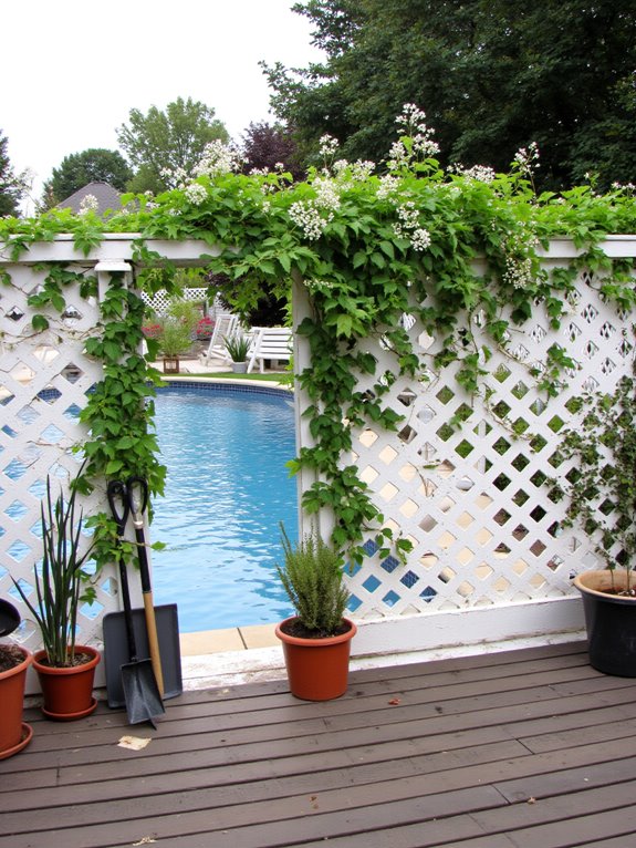 25 Practical Inground Pool Fence Ideas For Safe Stylish Spaces charming privacy with aesthetics