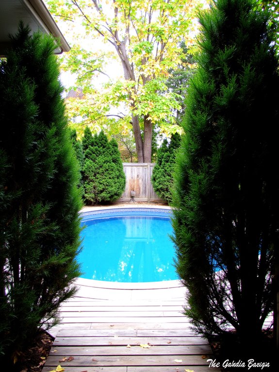 23 Lovely Inground Pool Landscaping Ideas For A Natural Feel tall evergreen hedges enhance privacy