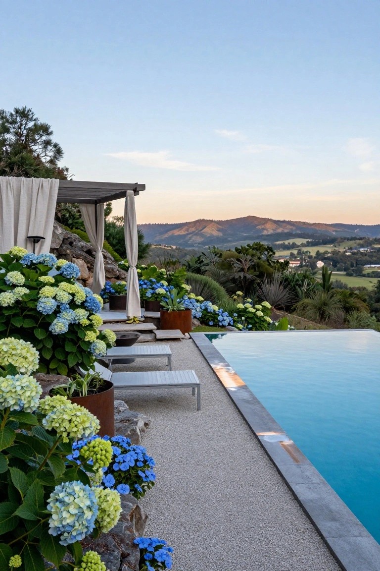 Poolside Hydrangeas