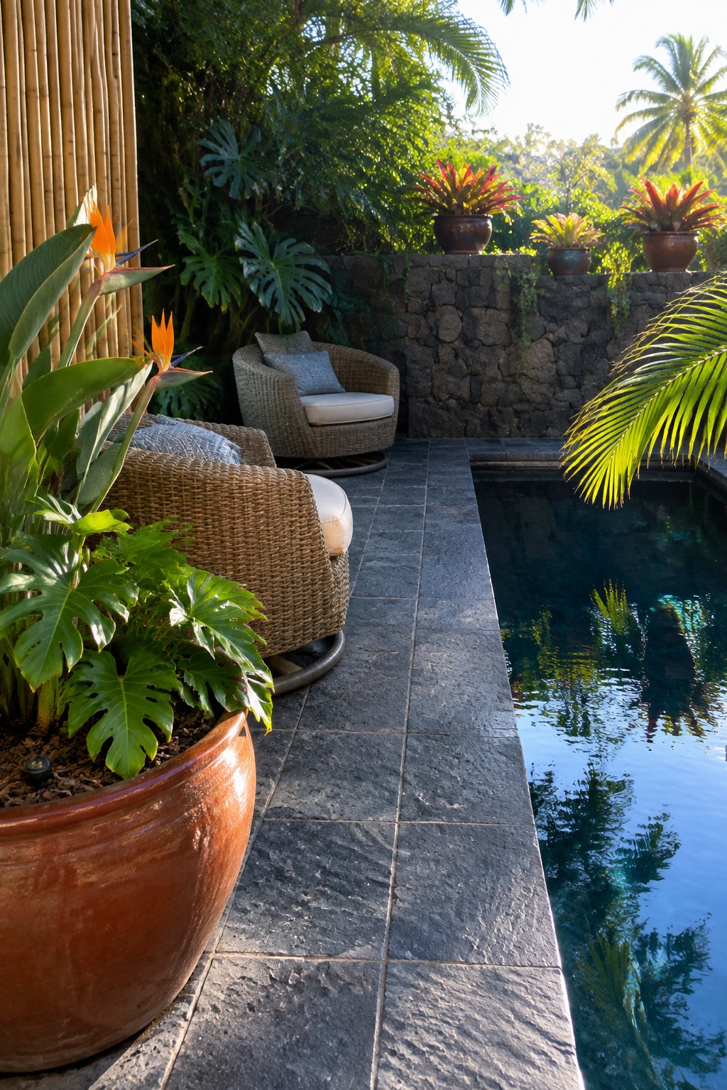 A plunge pool edged in dark stone with a paved deck, woven lounge chairs, and several large terracotta pots holding tropical plants including bird of paradise and monstera.